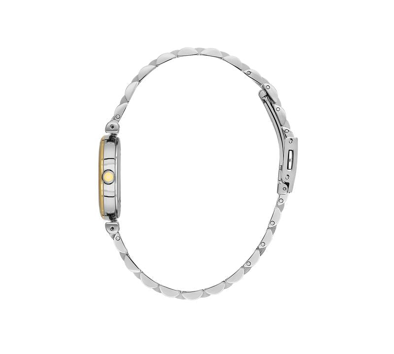 Daniel Klein Ladies 2 Hands Two-Tone Rose Gold Watch