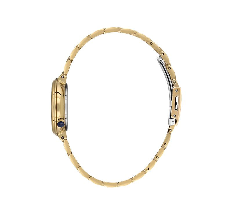 Daniel Klein Premium Black Dial 3 Hands Watch