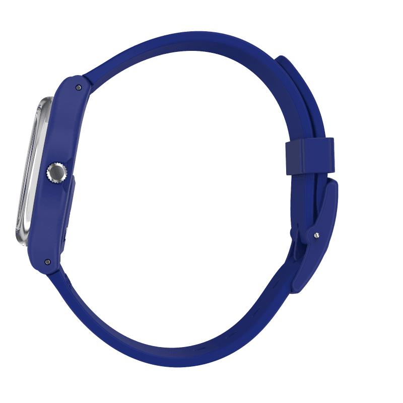 Swatch SILVERWAKATI Watch SO28N100