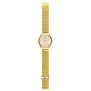 Swatch SKIN GLAM Watch SYXG106GG