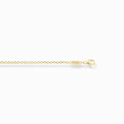 Thomas Sabo Necklace - Round Belcher Chain