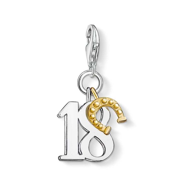 Silver & Gold Lucky 18 Charm